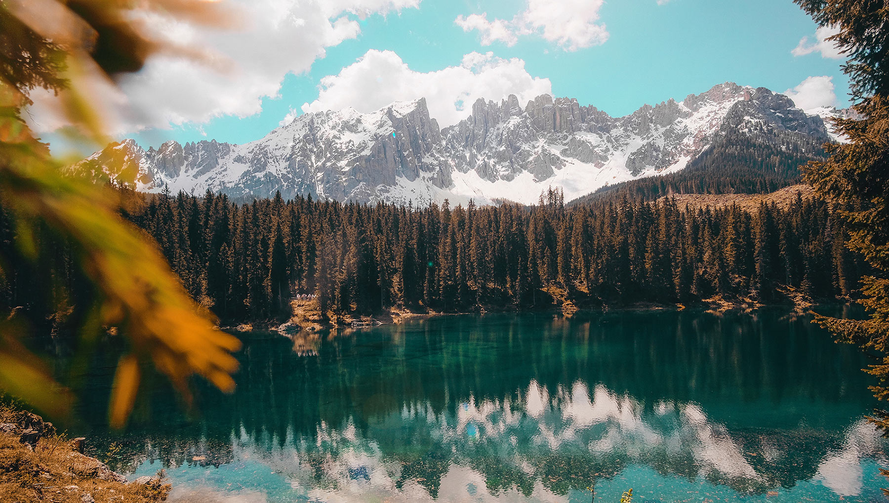 cristina gottardi GJ8ZQV7eGmU unsplash