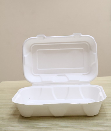 Bagasse Clameshell (9×6)