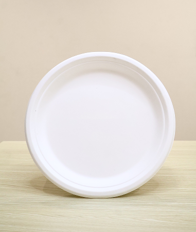 Bagasse Plate (11 Inch)