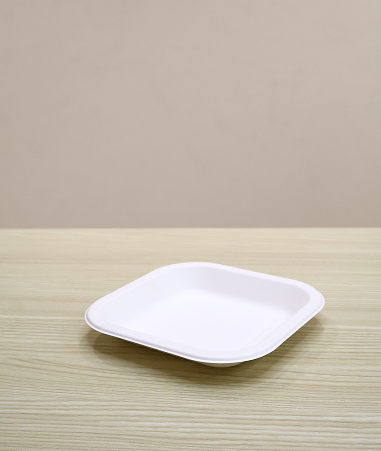 Bagasse Plate (6 Inch)